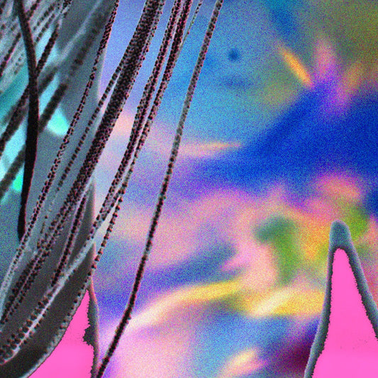 out now: Painting – WYWAYWG (Oh No Noh Remix)