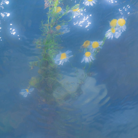 Mira Mann – Schwester