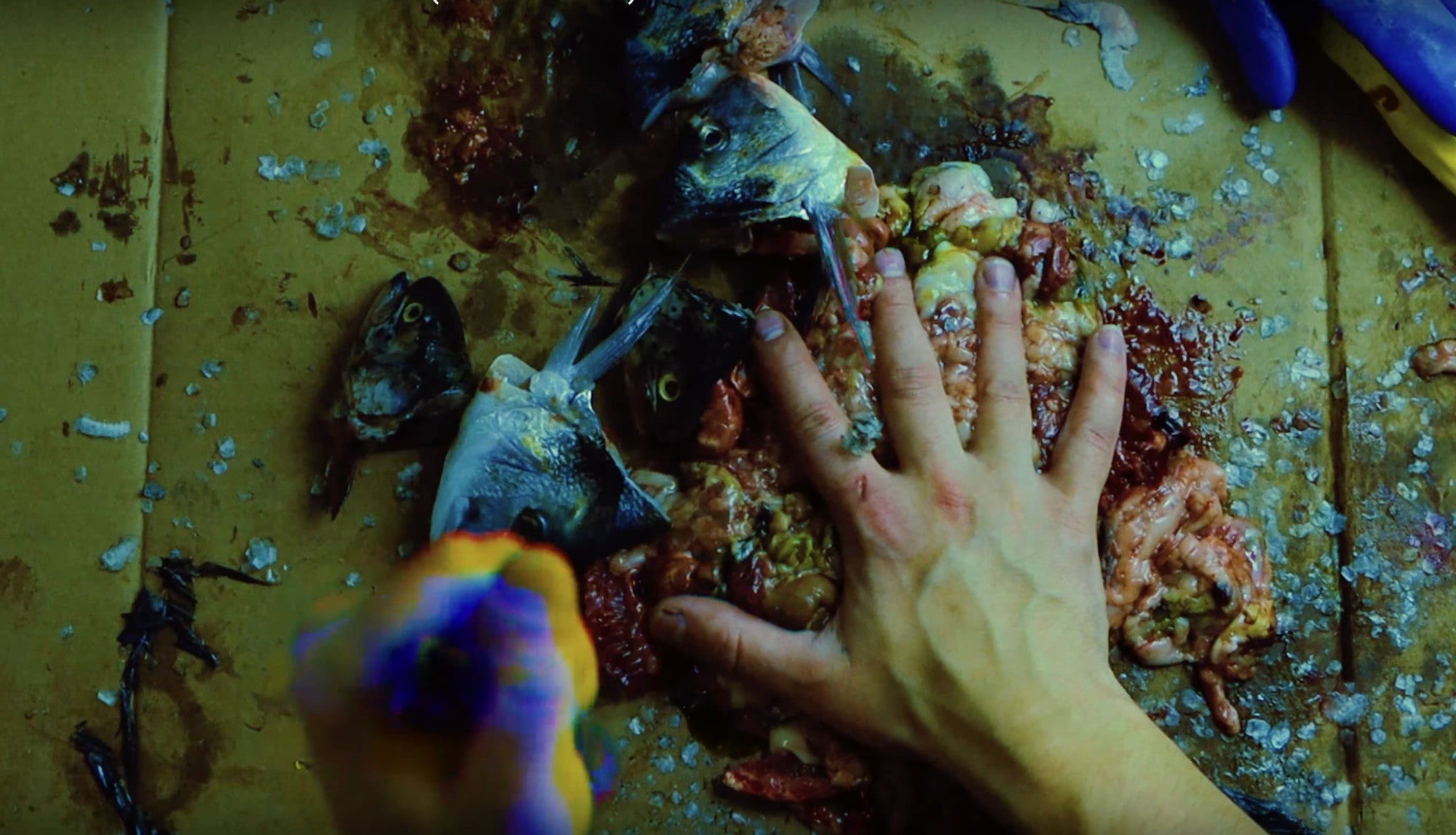 Video laden: Mildfire - Persona Non Grata